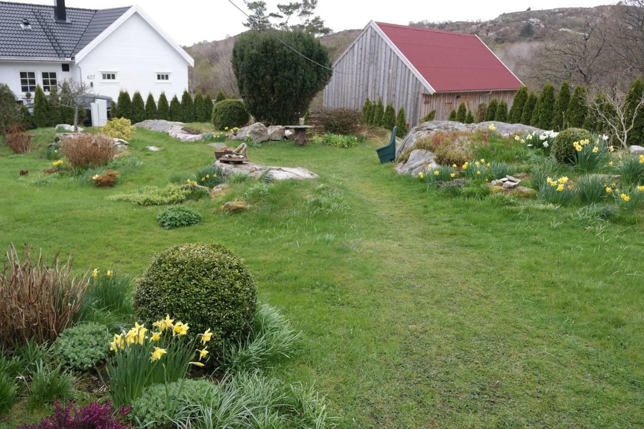 Idyllisk Feriested Royksund Ngoại thất bức ảnh